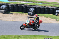 enduro-digital-images;event-digital-images;eventdigitalimages;lydden-hill;lydden-no-limits-trackday;lydden-photographs;lydden-trackday-photographs;no-limits-trackdays;peter-wileman-photography;racing-digital-images;trackday-digital-images;trackday-photos